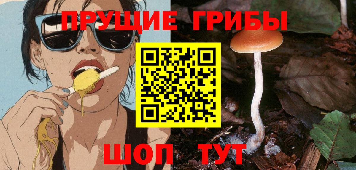 Первоуральск  Псилоцибиновые грибы GOLDEN TEACHER  Вход с VPN 