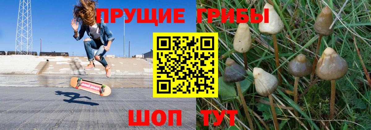 Галлюциногенные грибы Magic Shrooms Первоуральск